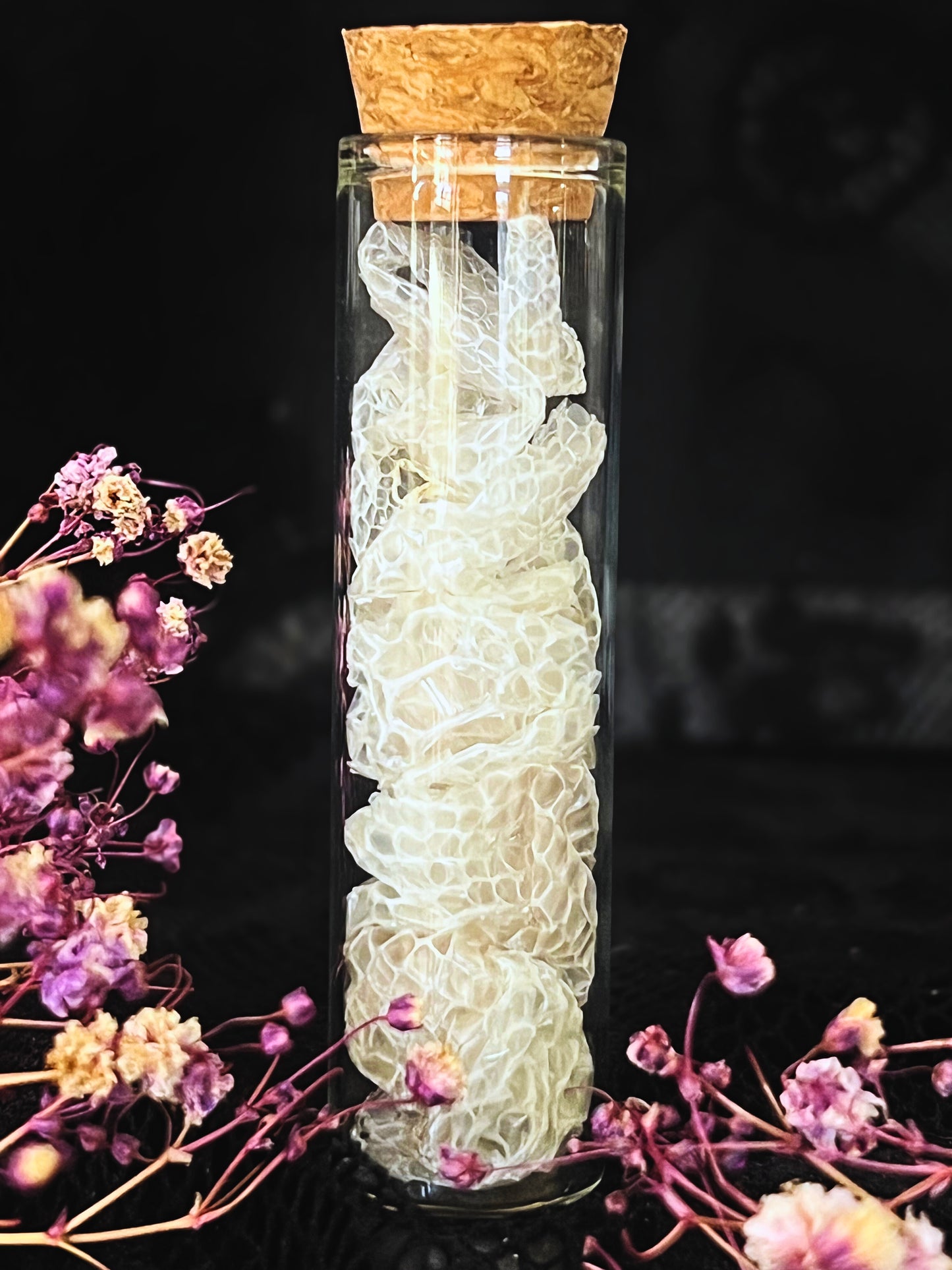 Snakeskin in Glass Vial