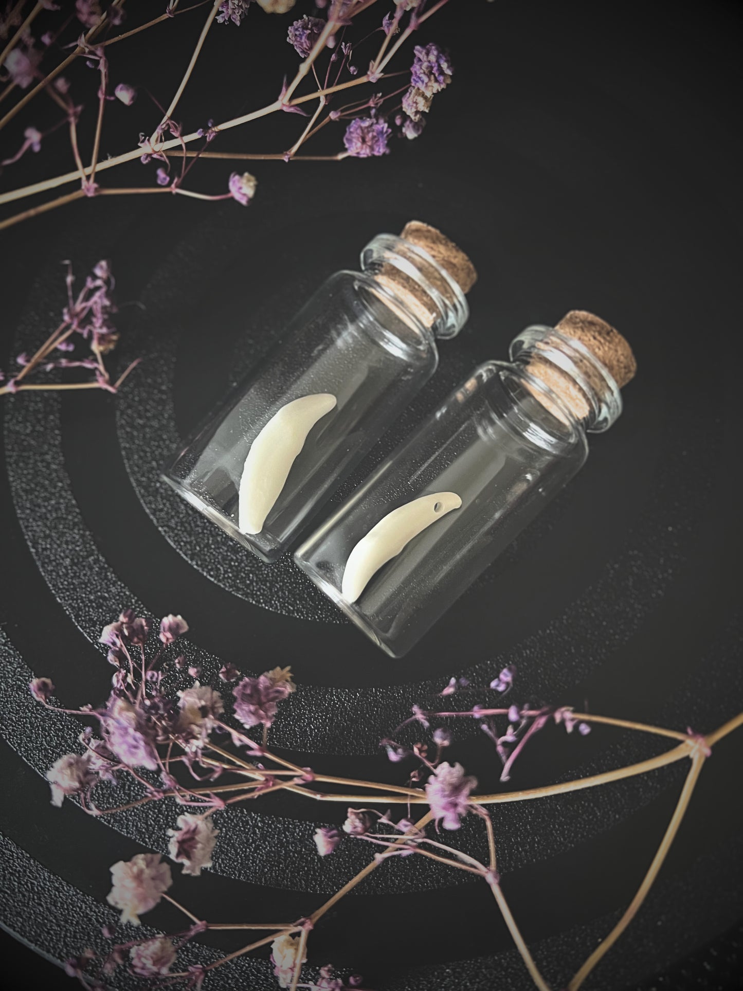 Two glass jars with cork lids containing coyote teeth, surrounded by dried flowers on a dark background.