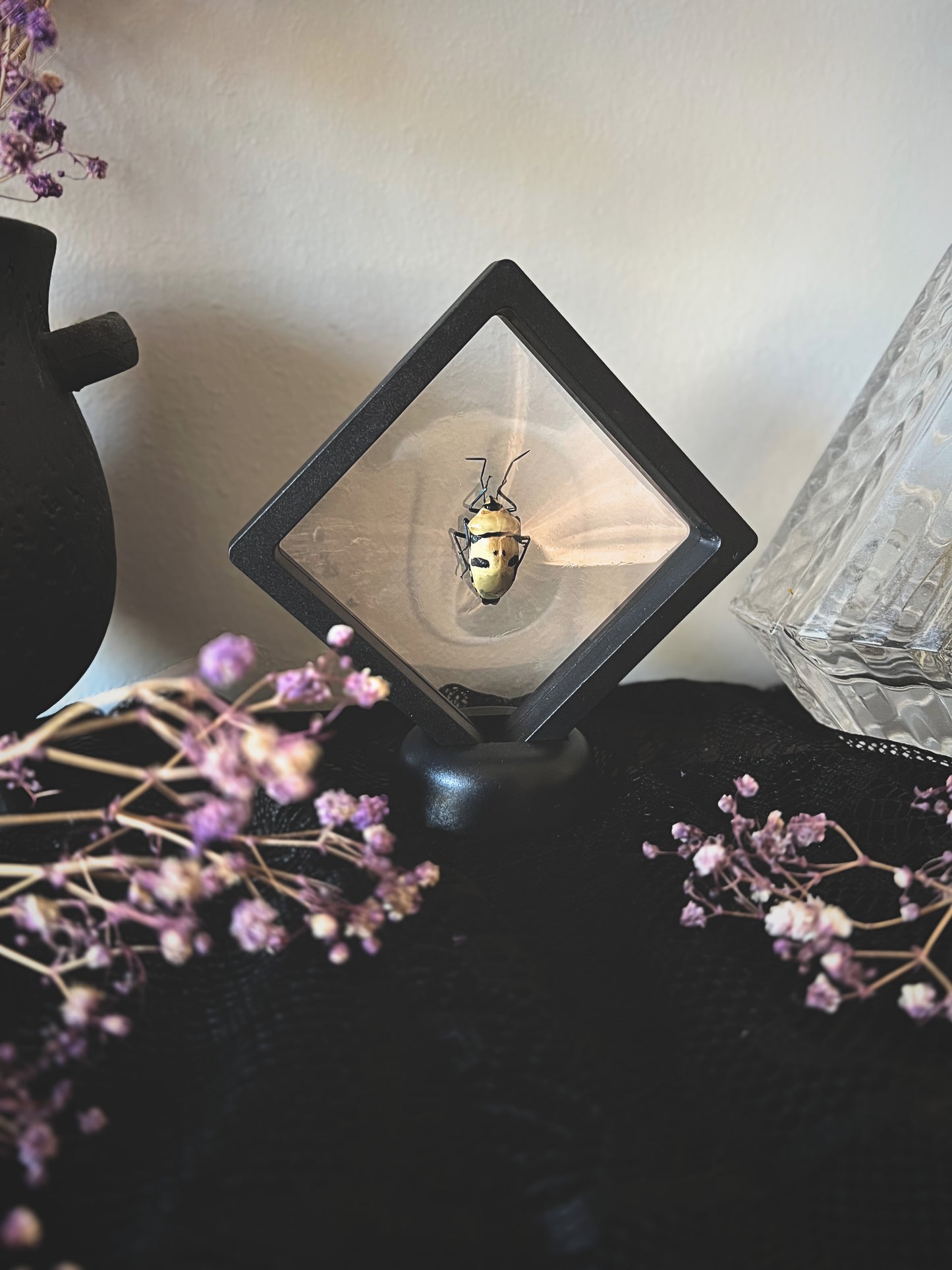 Death Head Bug display on a surface with purple flowers and a black vase.