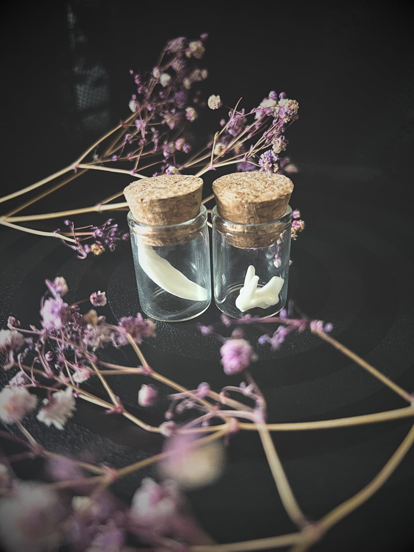 Two small glass jars with cork lids containing fox teeth, surrounded by purple flowers on a dark background.