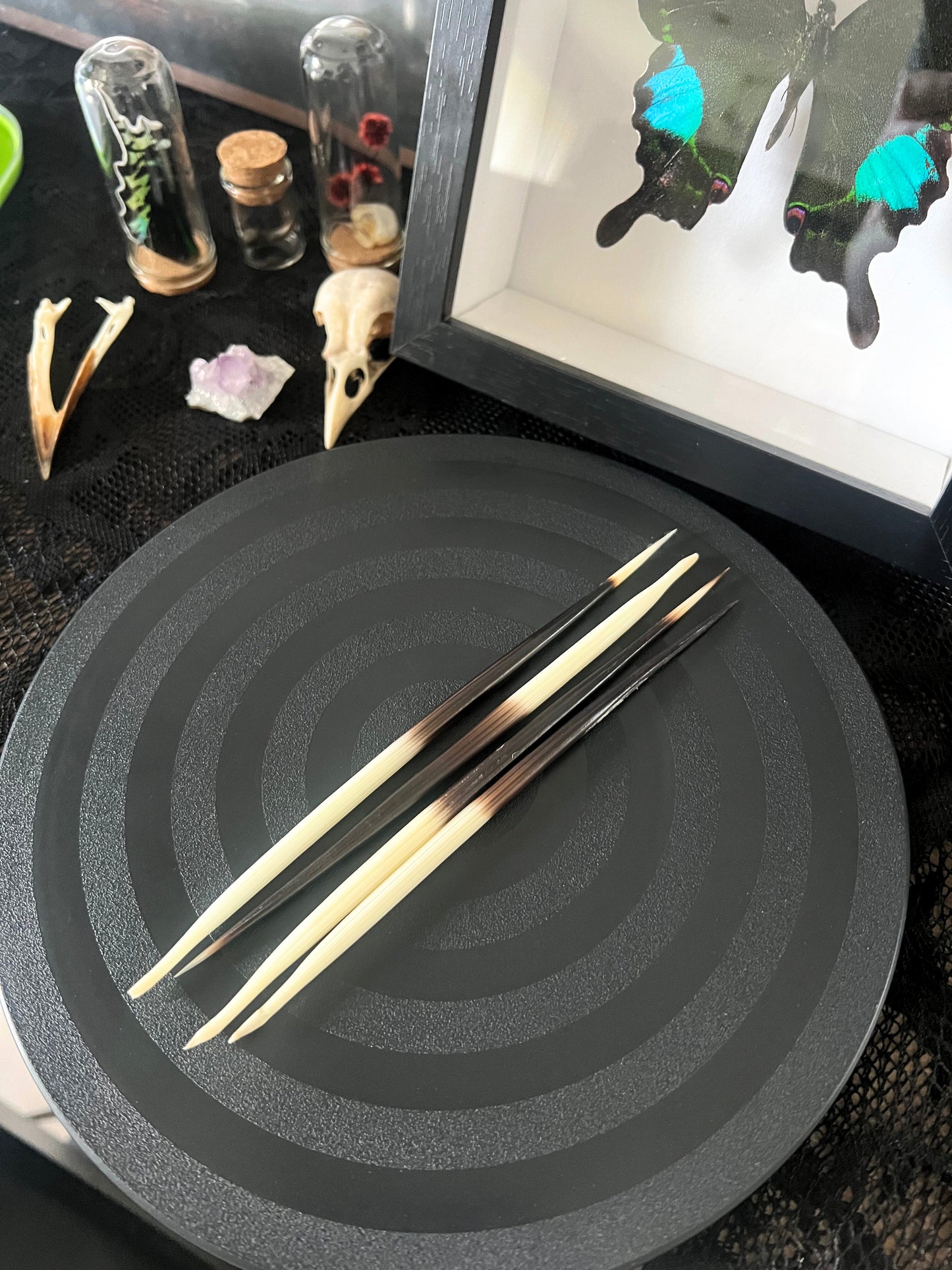 Black circular tray with Porcupine Quills on a dark surface with decorative items.
