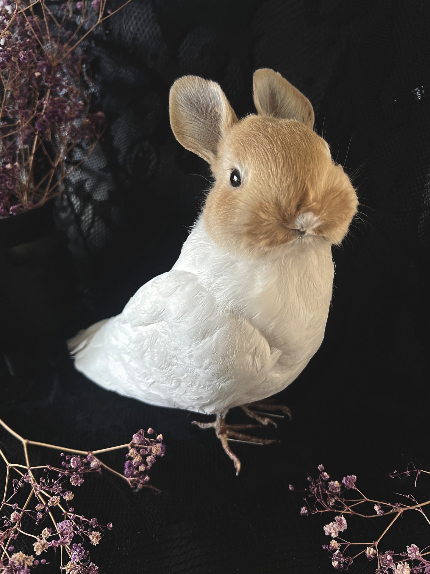 Taxidermy Bunny Bird - Red & White