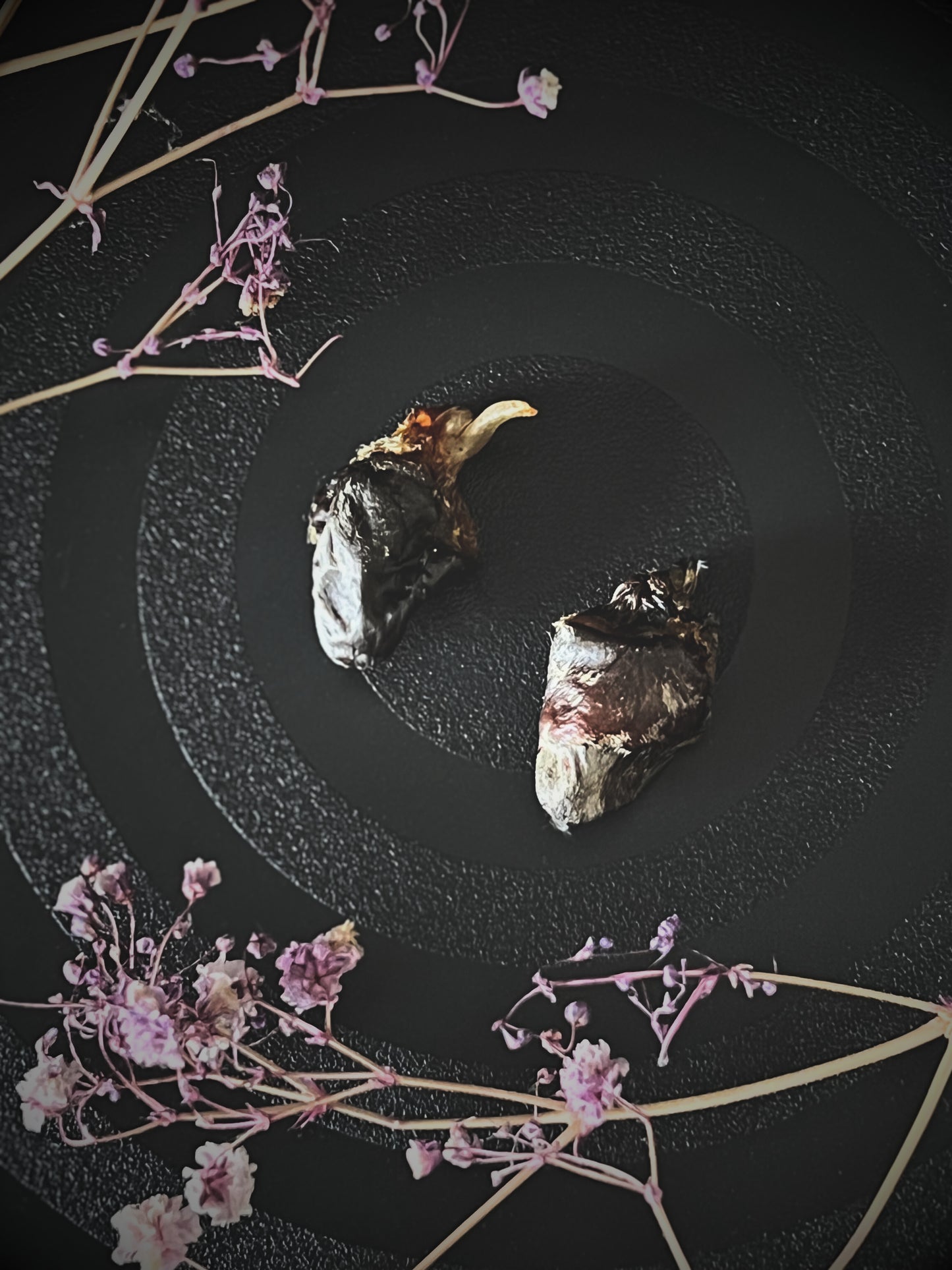 Two preserved bird hearts on a dark surface with decorative flowers.