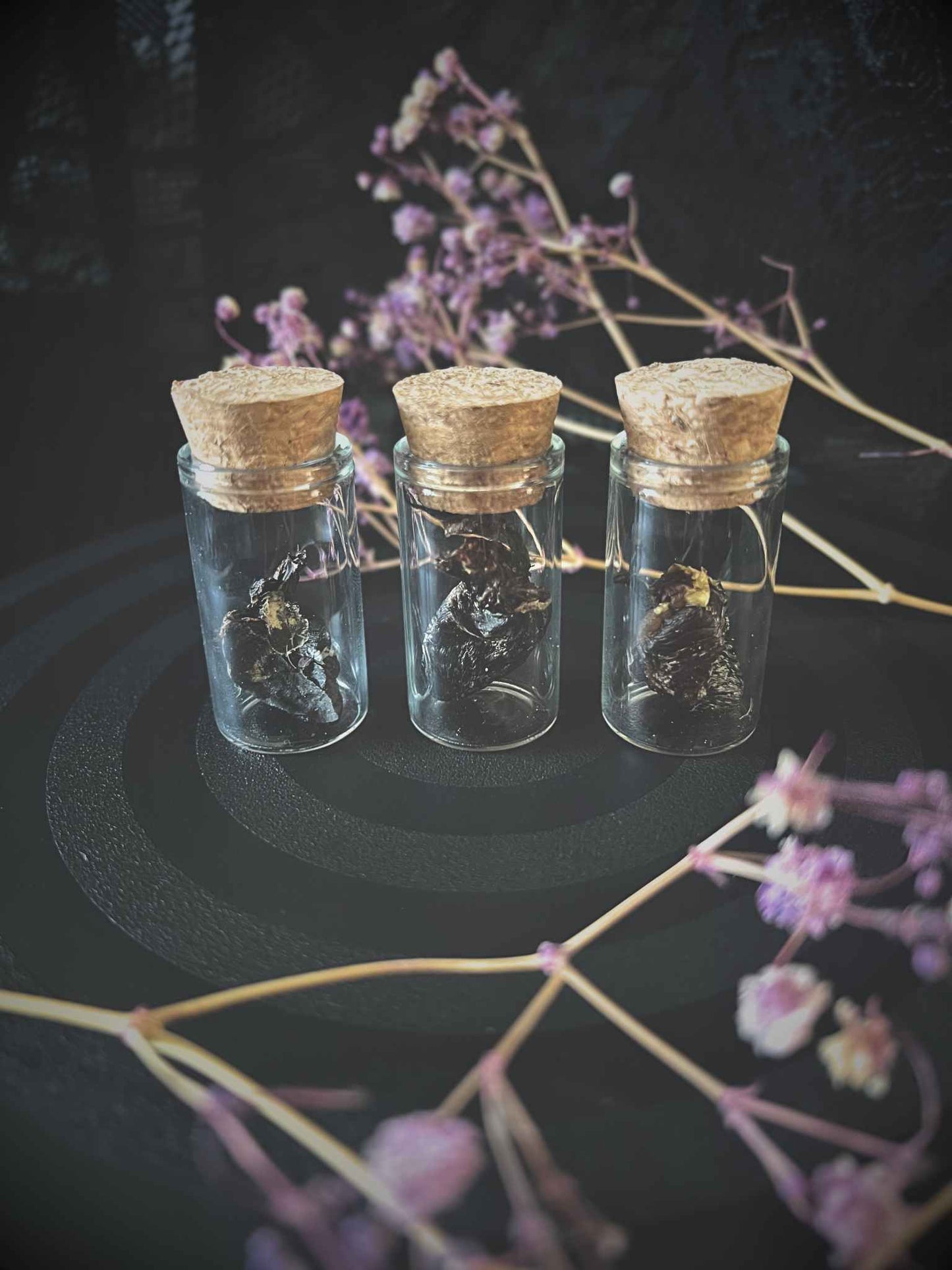 Three preserved bird hearts in glass jars.