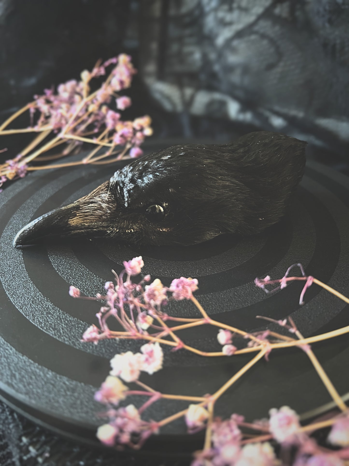 Taxidermy crow head with pink flowers on a dark textured surface