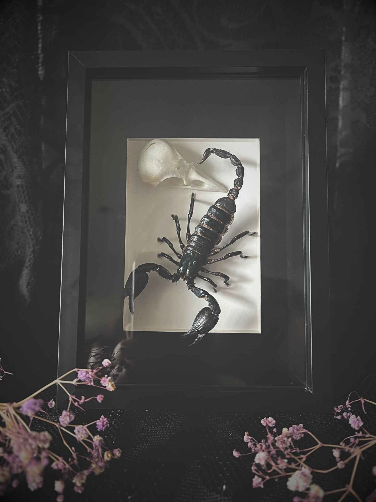 Display Frames