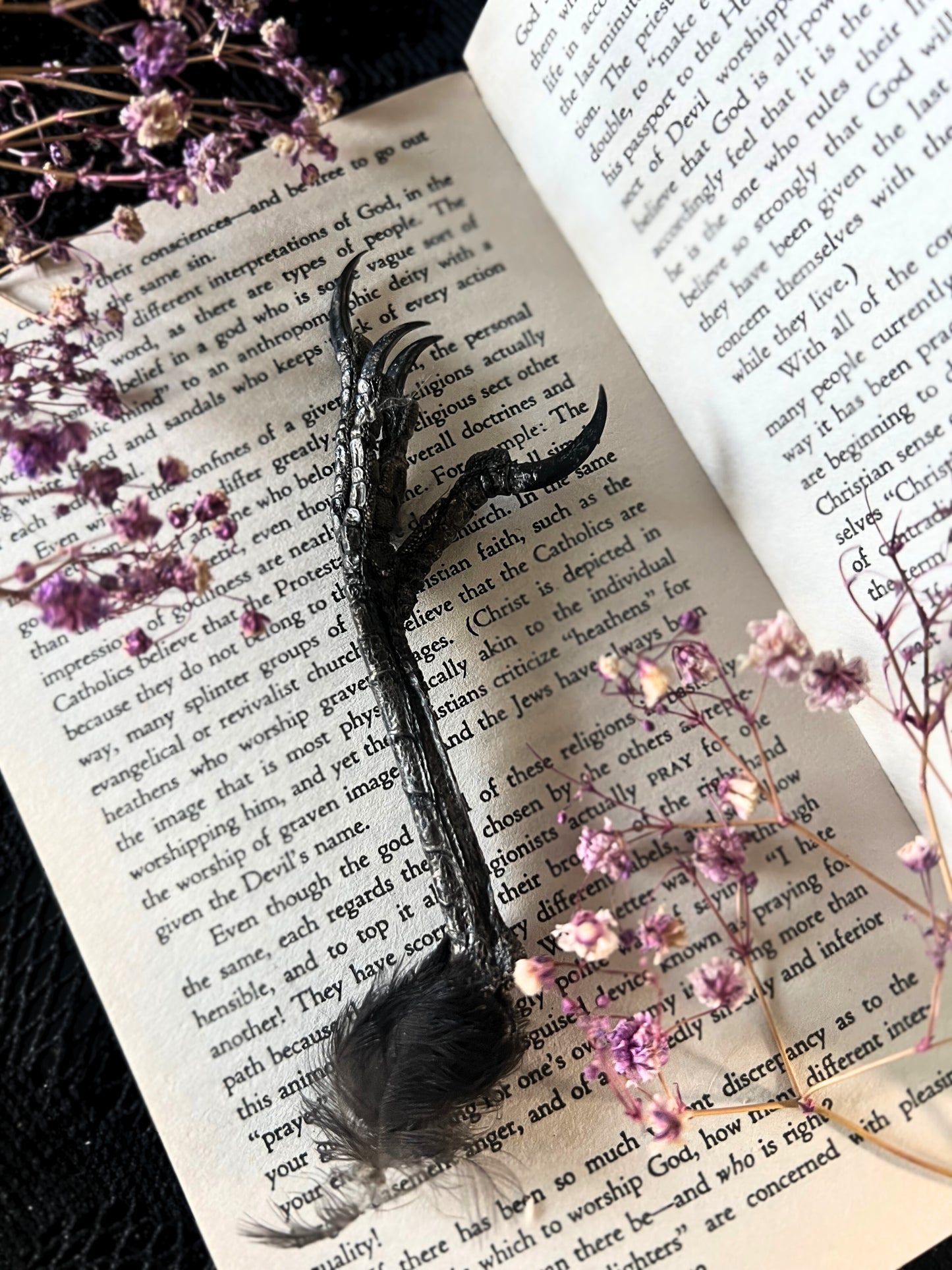 Crow Feet (Corvus Corone)