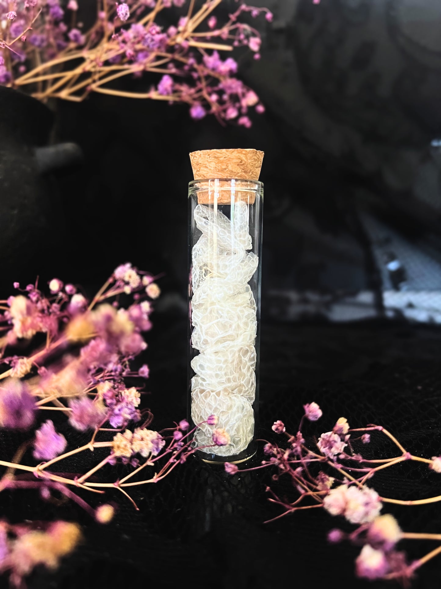 Snakeskin in Glass Vial