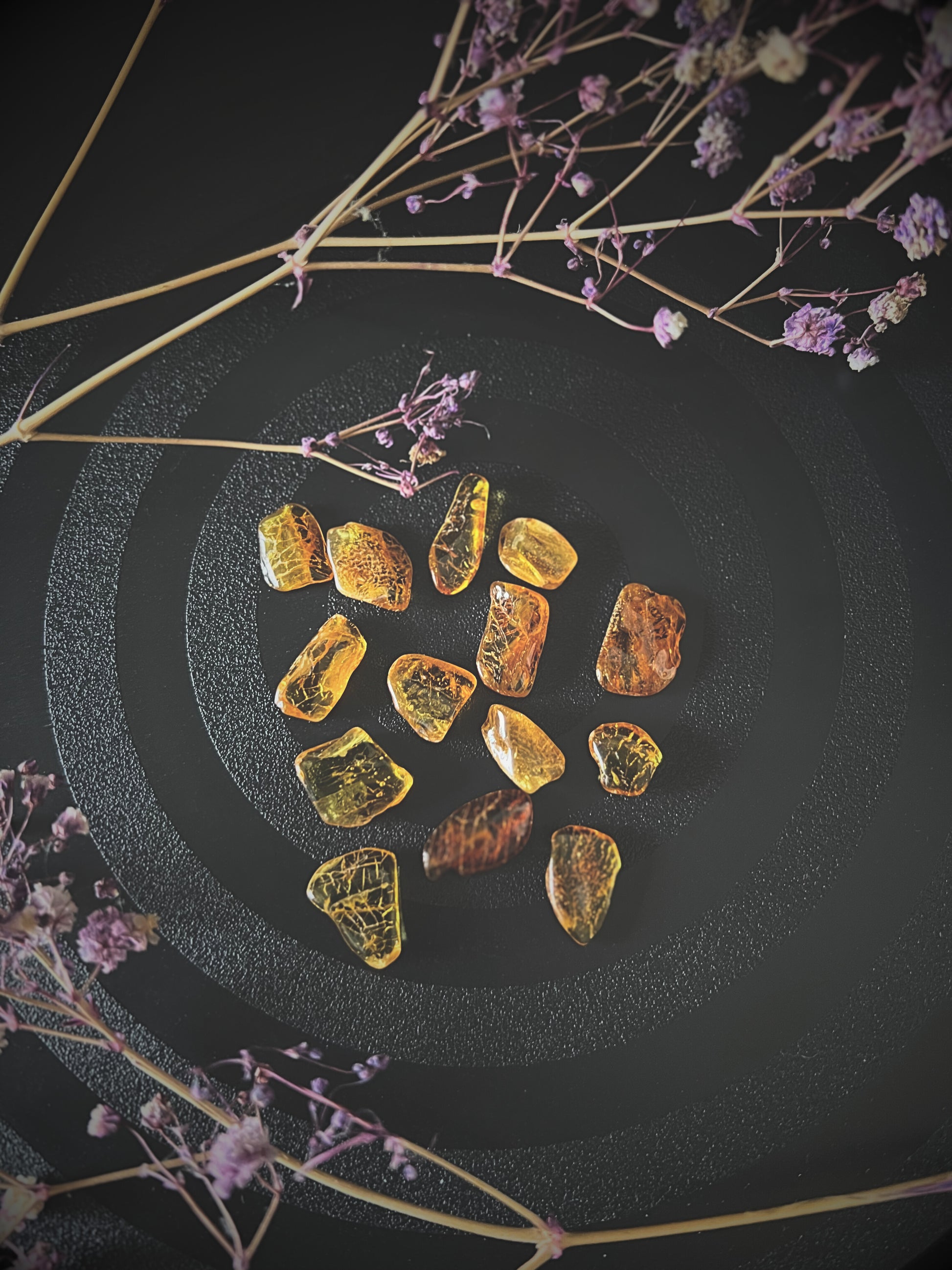 Baltic amber stones with trapped insects on a dark surface with dried flowers.