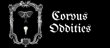 Corvus Oddities