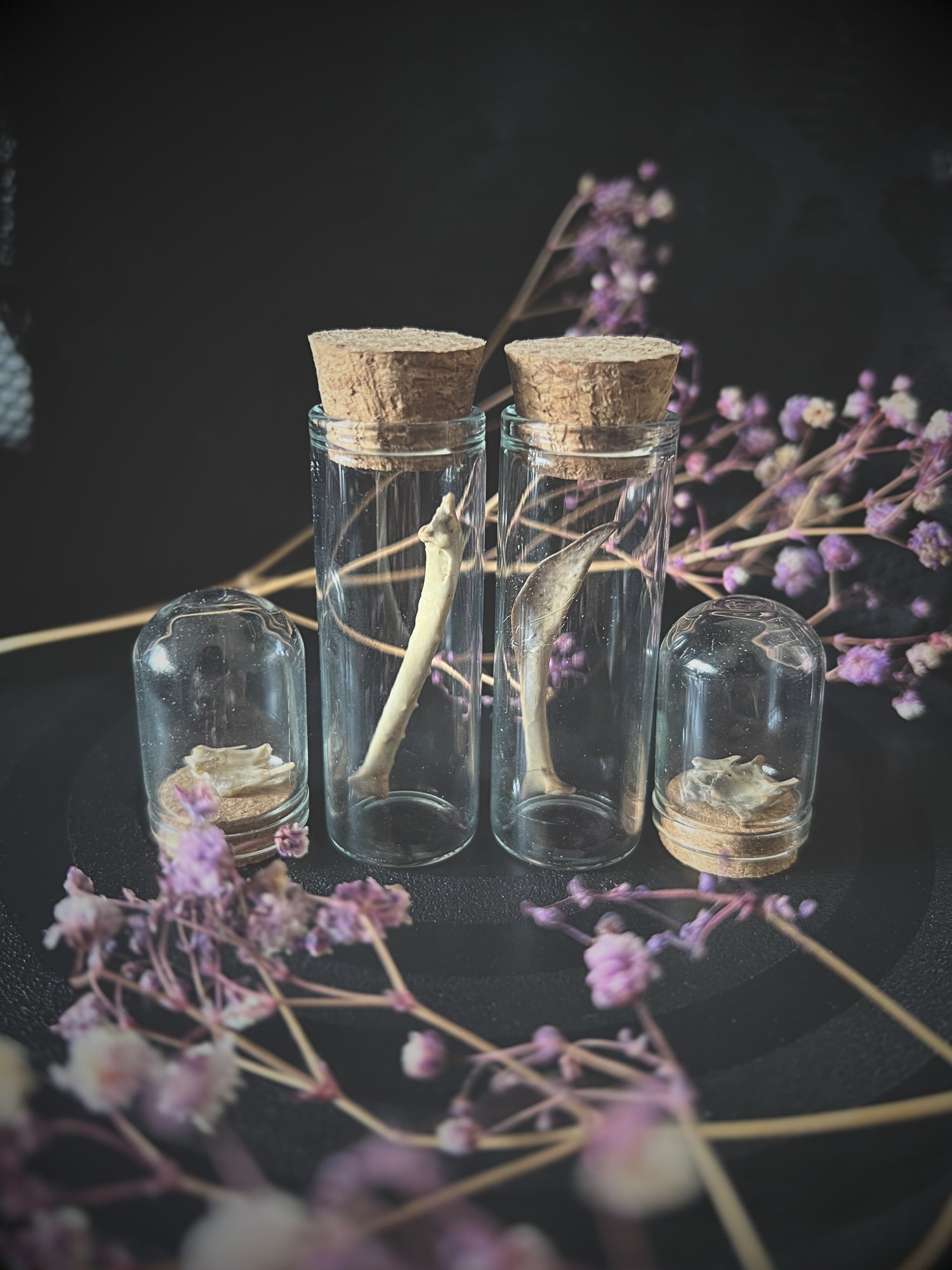 Small glass jars with cork lids containing crow bones and vertebrae on a dark background with flowers.
