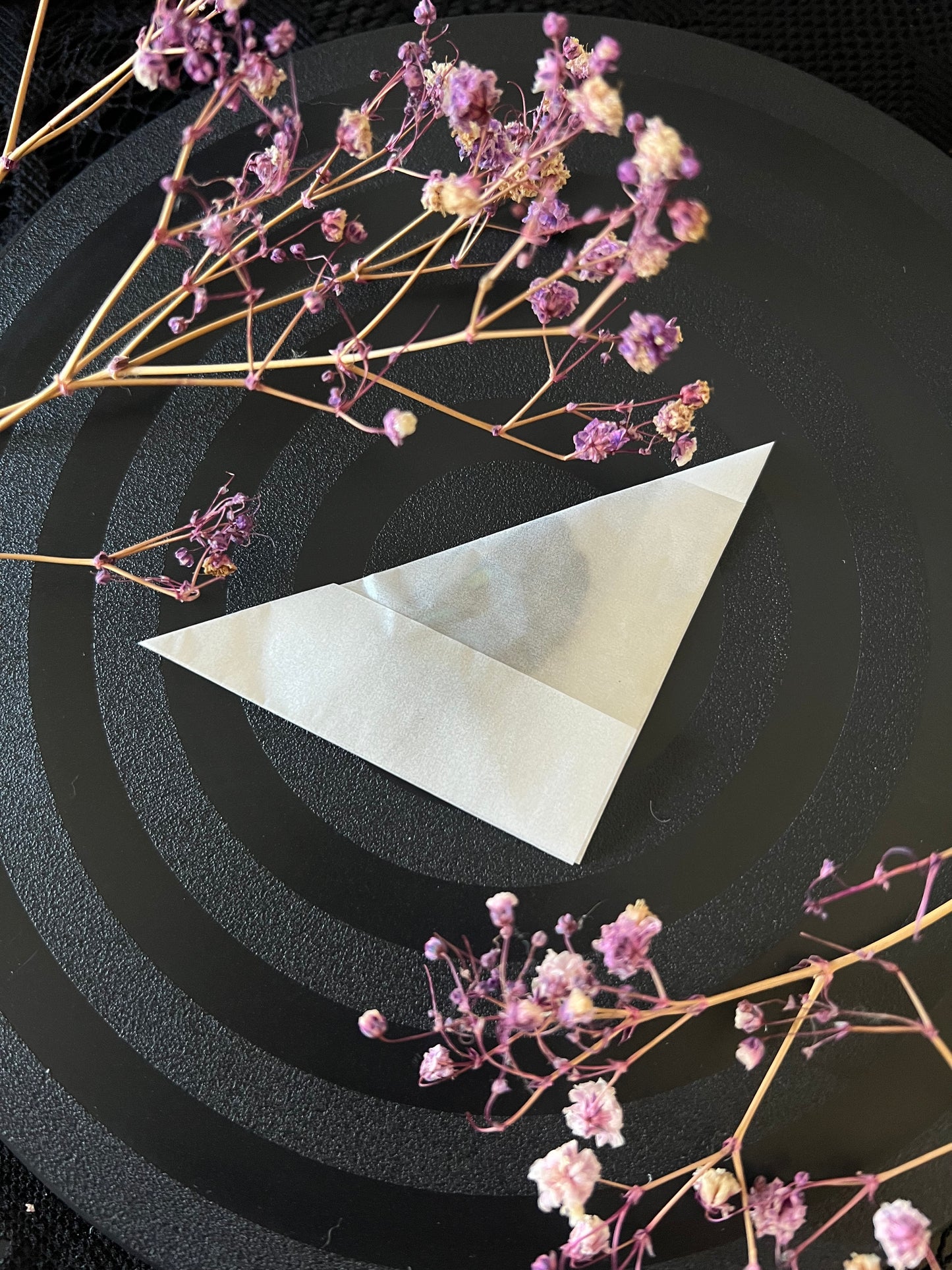 Blue Day Flying Moth (Milionia Delicatula) Unspread Specimen