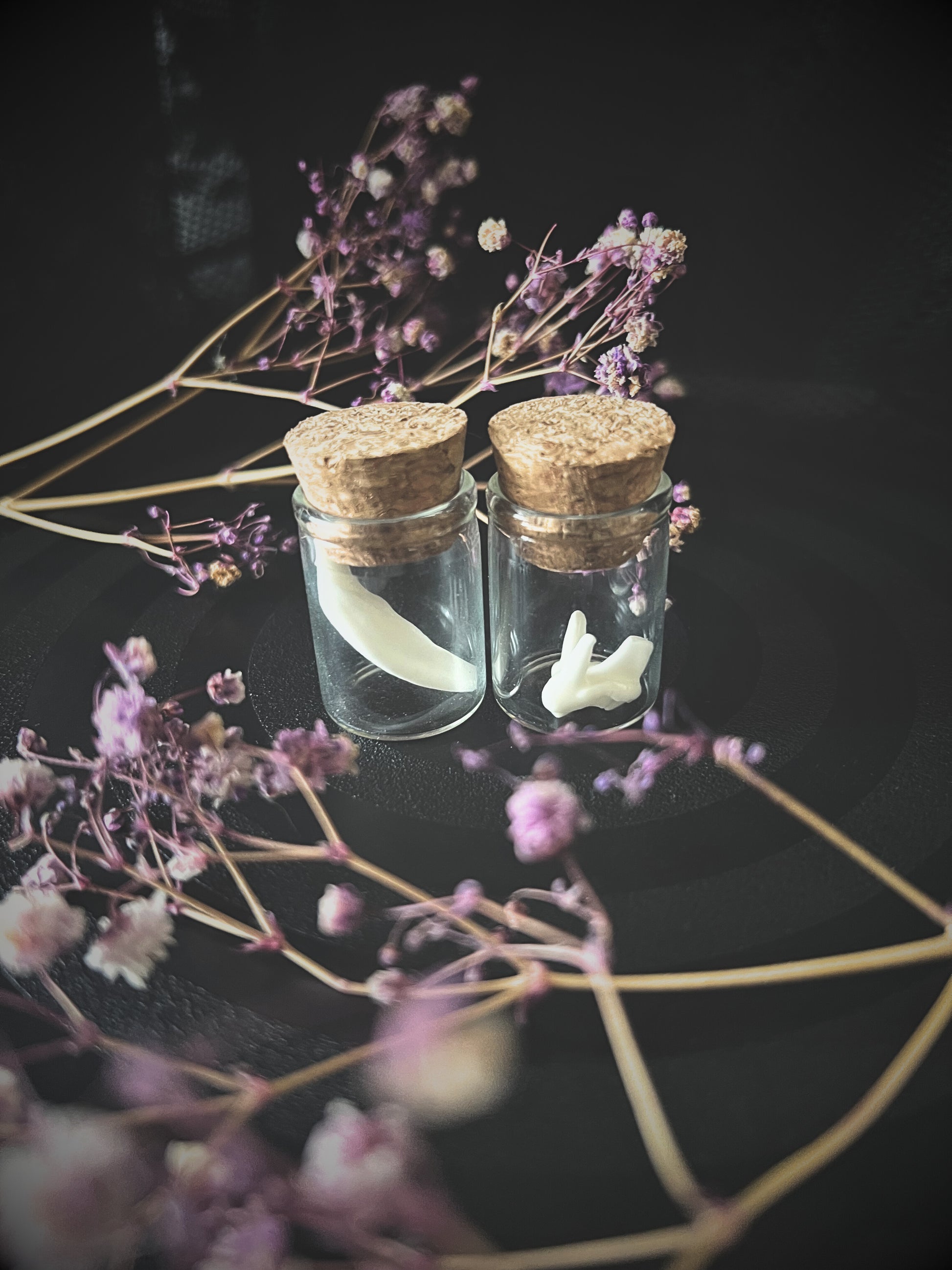 Two small glass jars with cork lids containing fox teeth, surrounded by purple flowers on a dark background.