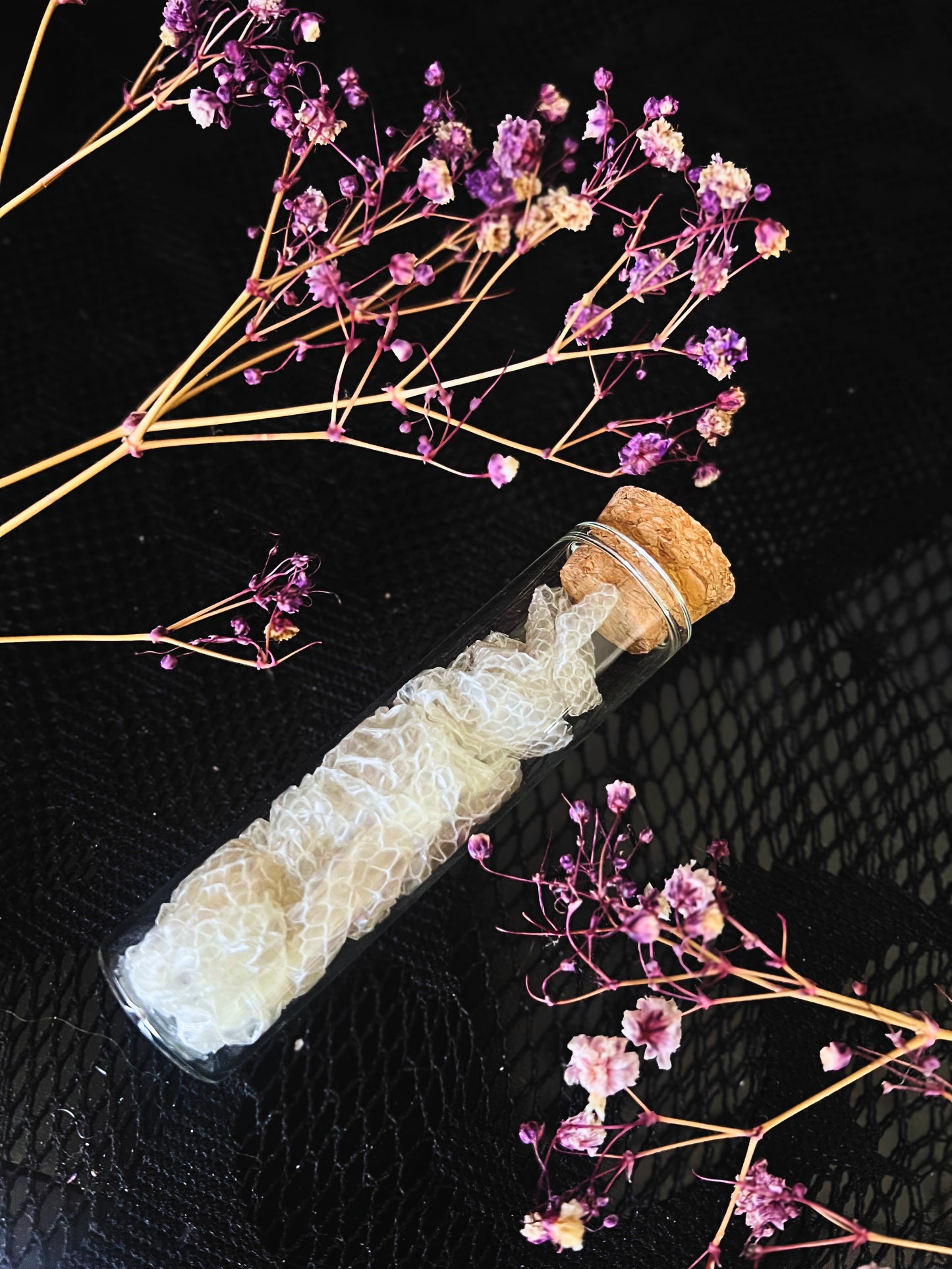 Snakeskin in Glass Vial