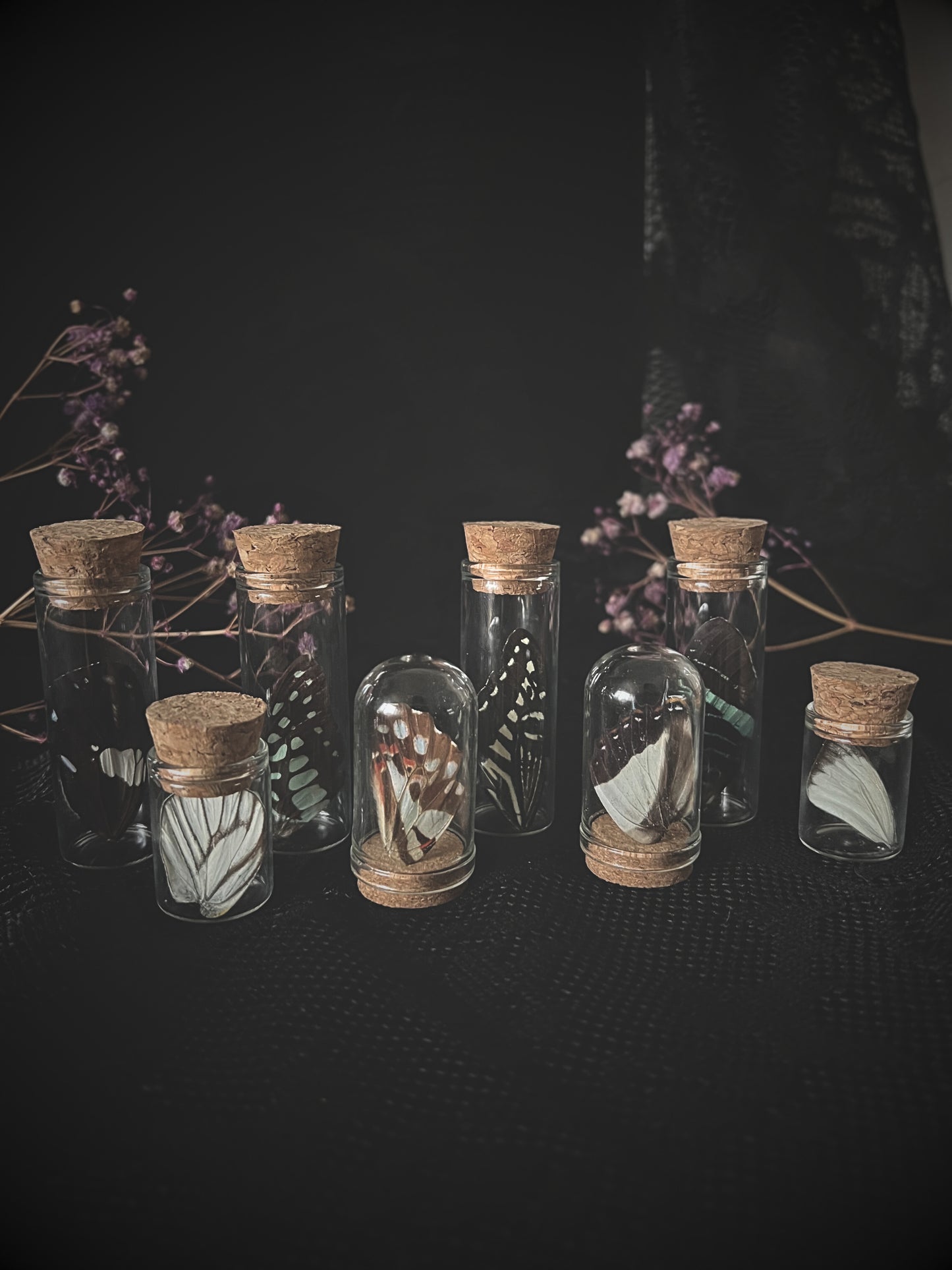 Set of glass jars with cork lids containing butterfly wings on a dark background.