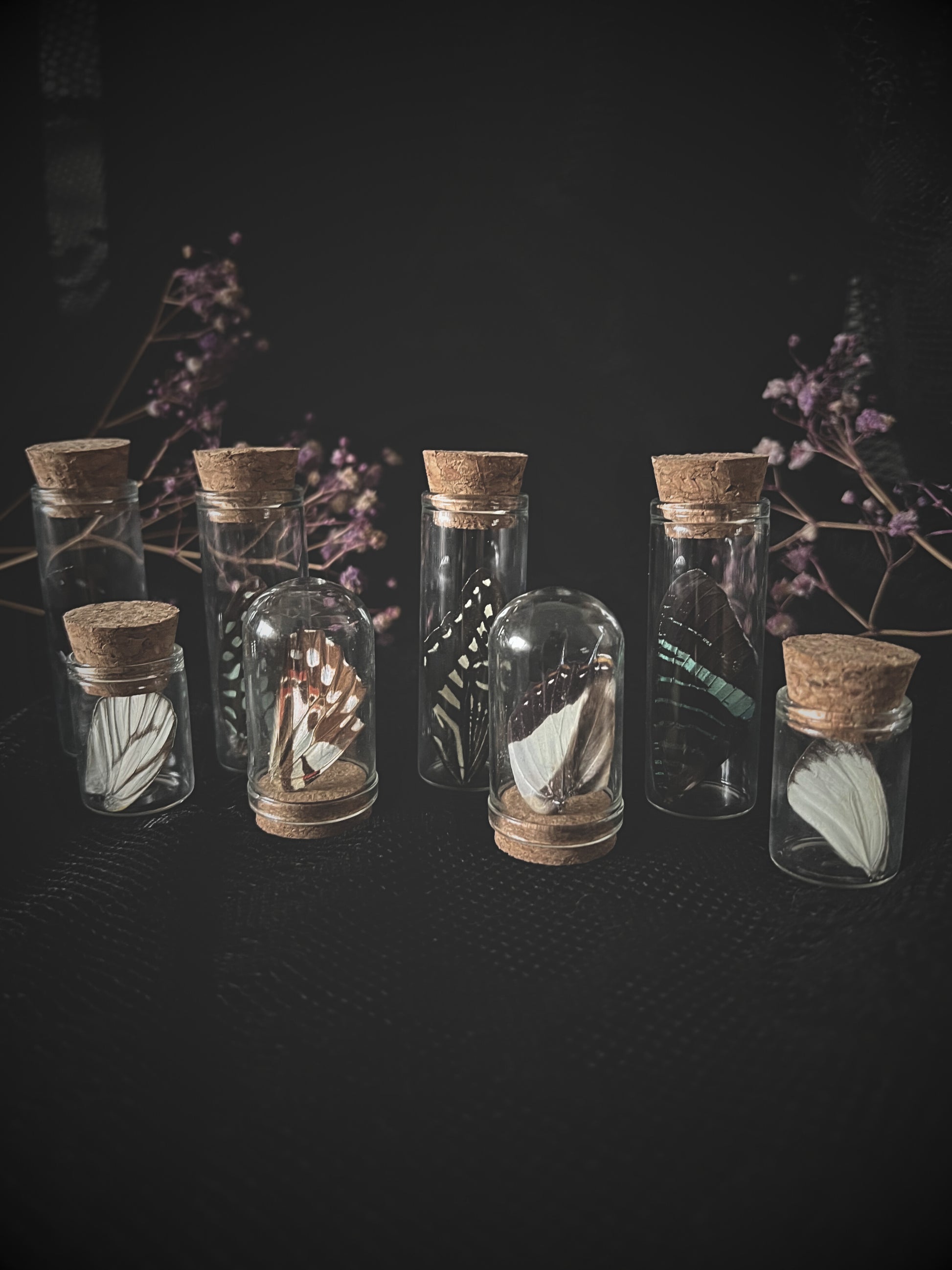 Set of butterfly wings in glass jars with cork lids on a dark background