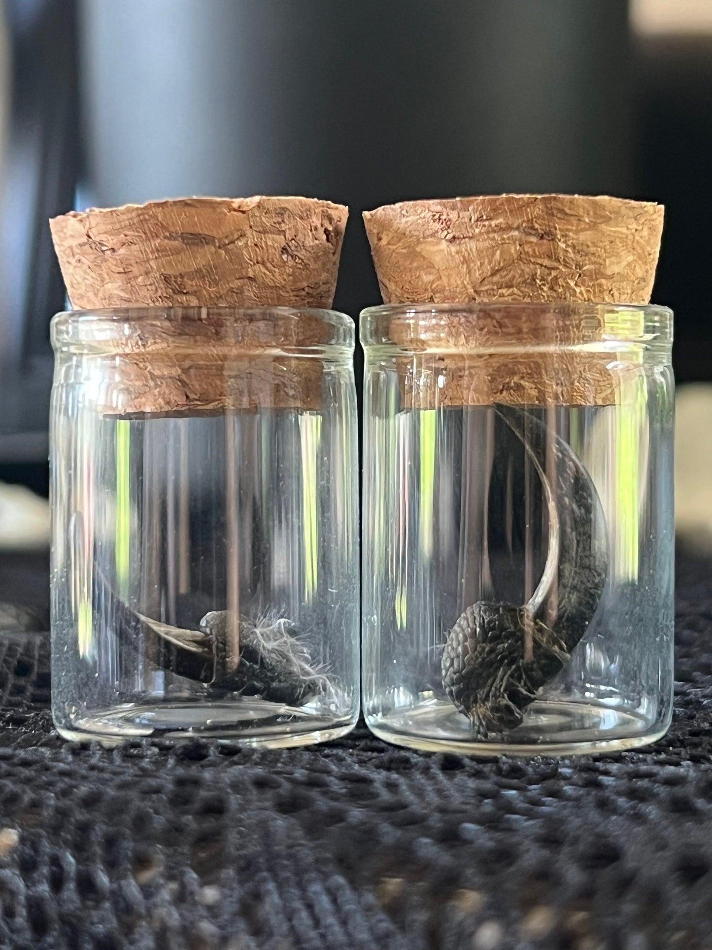 Crow talons in glass jars.