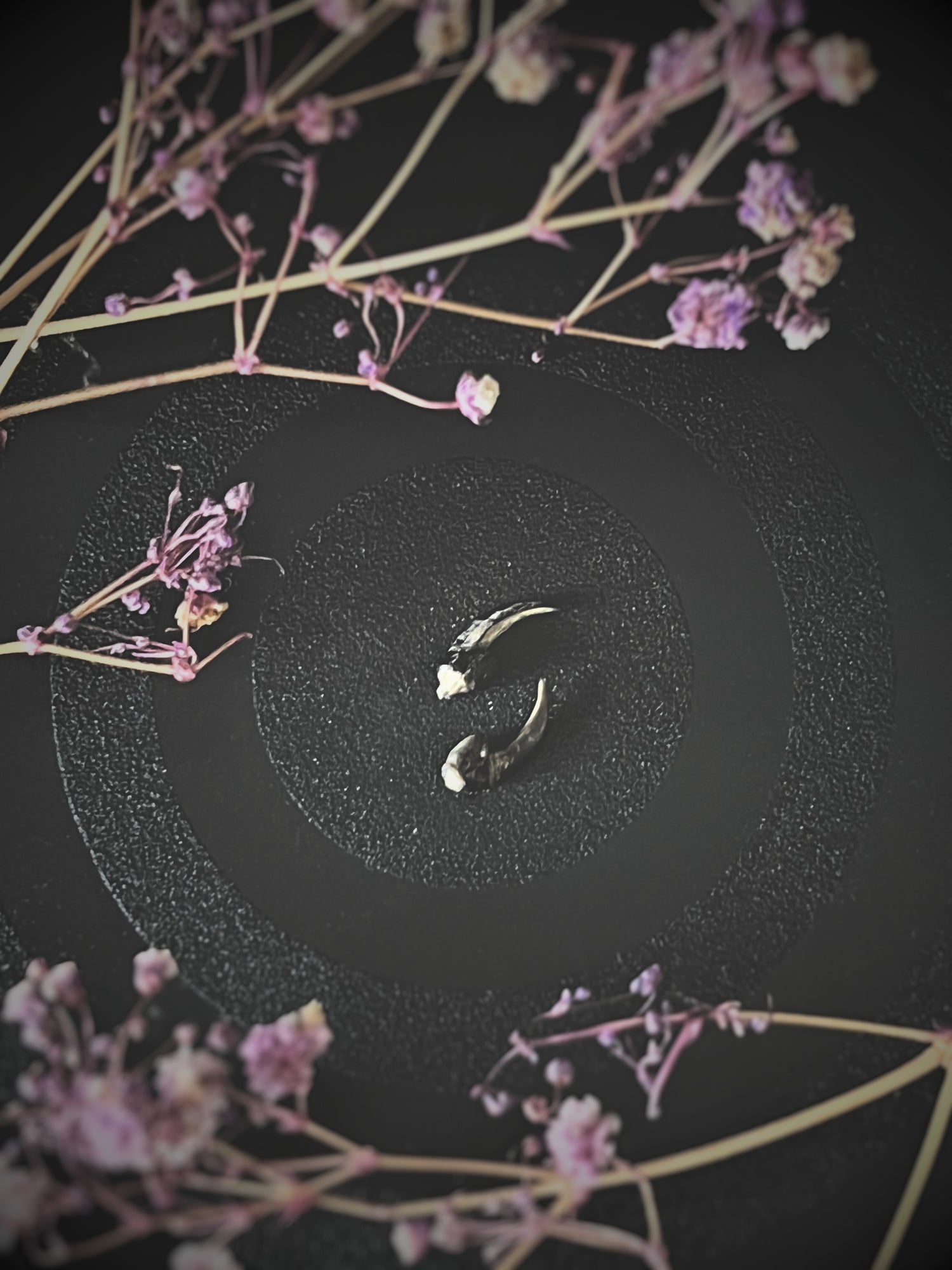Crow talons on a dark surface with dried flowers around