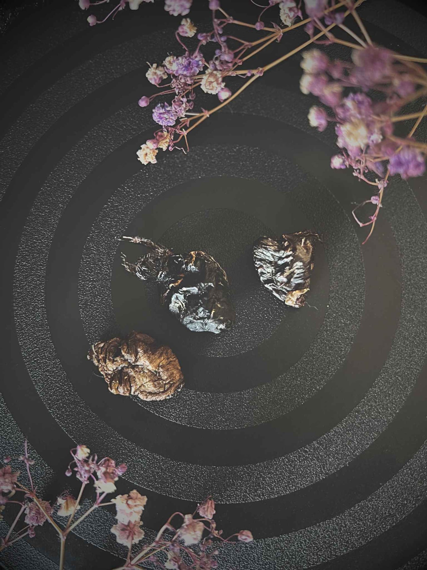 Three preserved bird hearts on a dark surface with floral elements