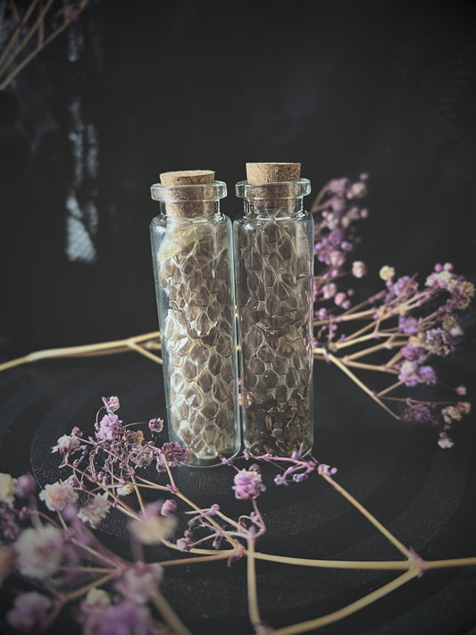 Two glass bottles with cork lids filled with snake skin on a dark background with flowers.
