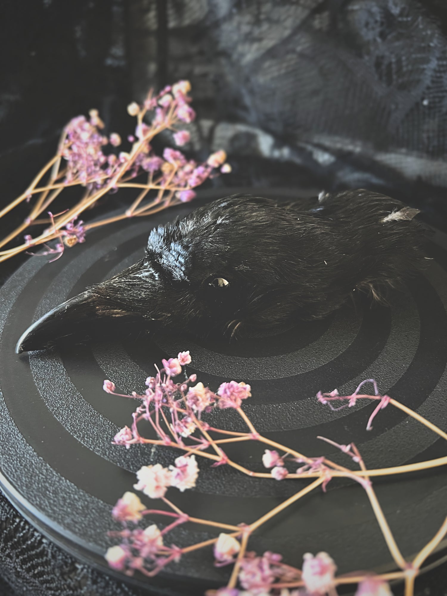 Taxidermy crow head on a dark surface with pink flowers