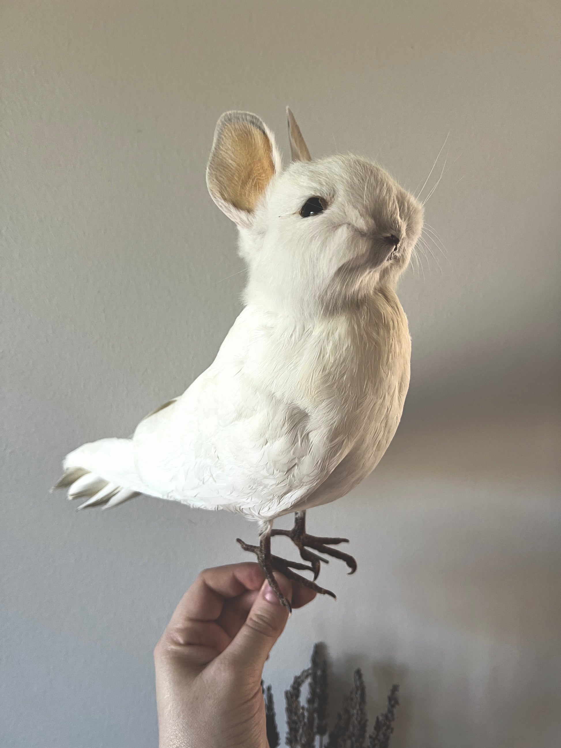 White taxidermy bunny bird on a hand against a neutral background